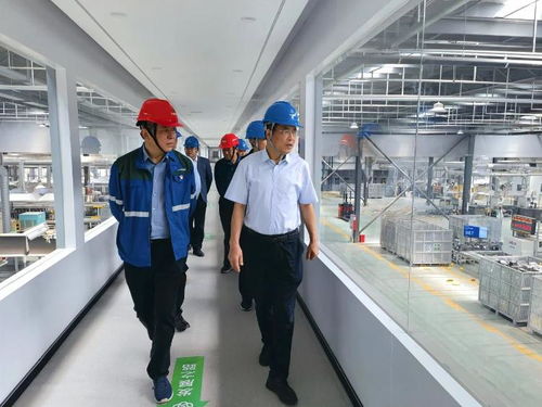 张荣庆赴临沂调研 以技术创新驱动再生资源回收体系高质量发展