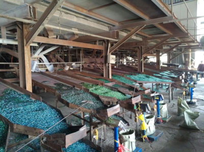 海曙区建宁波首个资源再生小区 变废为宝的绿色实践